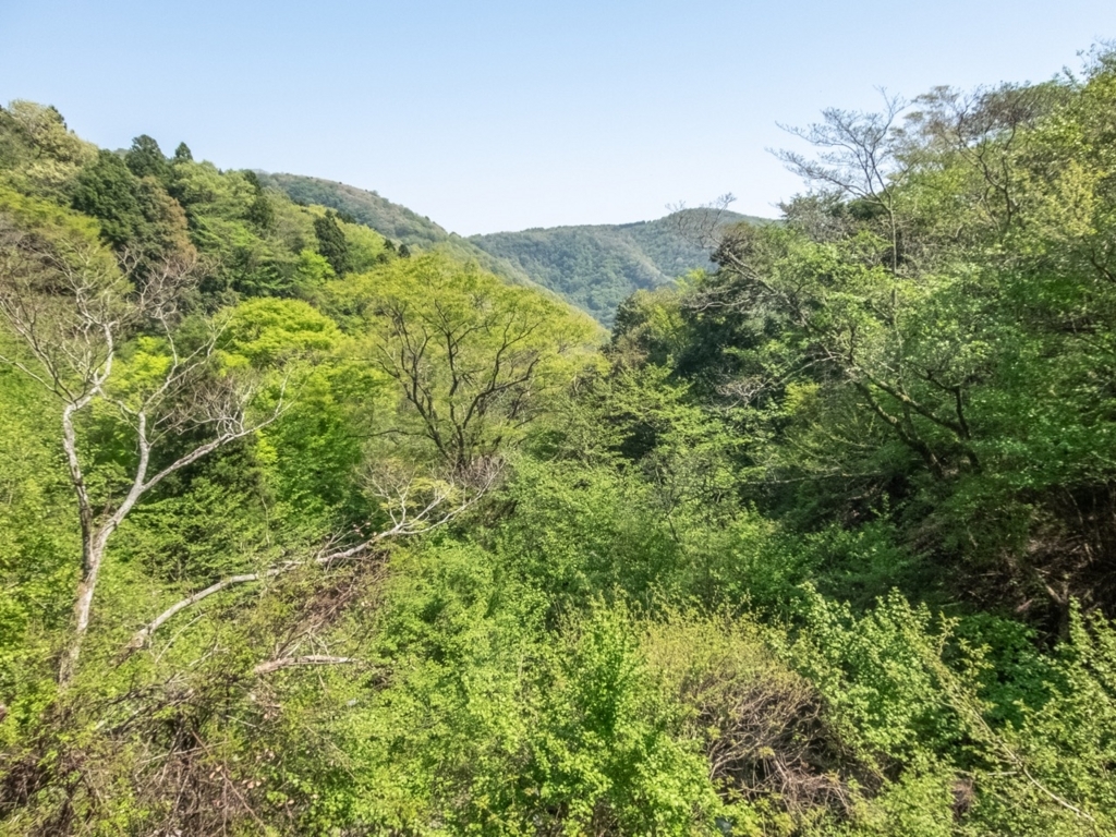 f:id:saetta0404:20180424222236j:plain