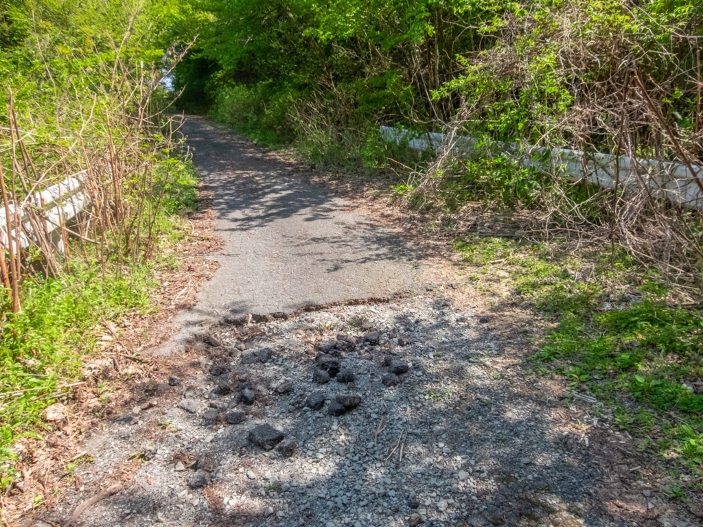 f:id:saetta0404:20180424222258j:plain