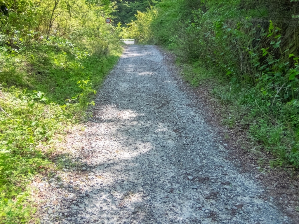 f:id:saetta0404:20180424222321j:plain