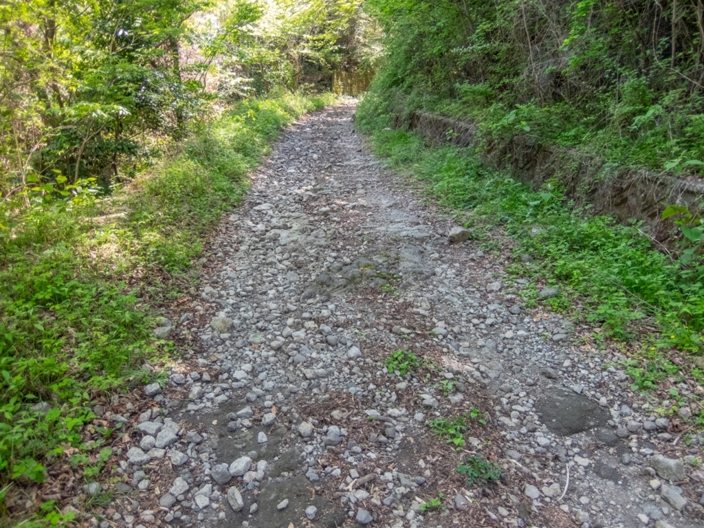 f:id:saetta0404:20180424222344j:plain