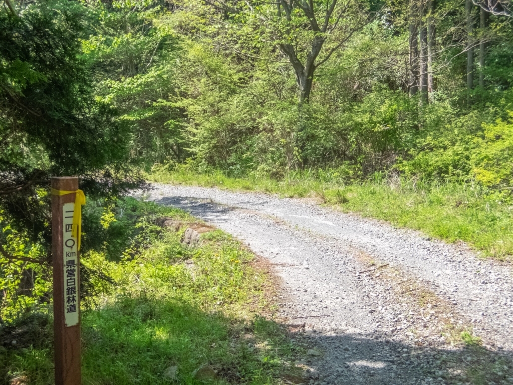 f:id:saetta0404:20180424222447j:plain