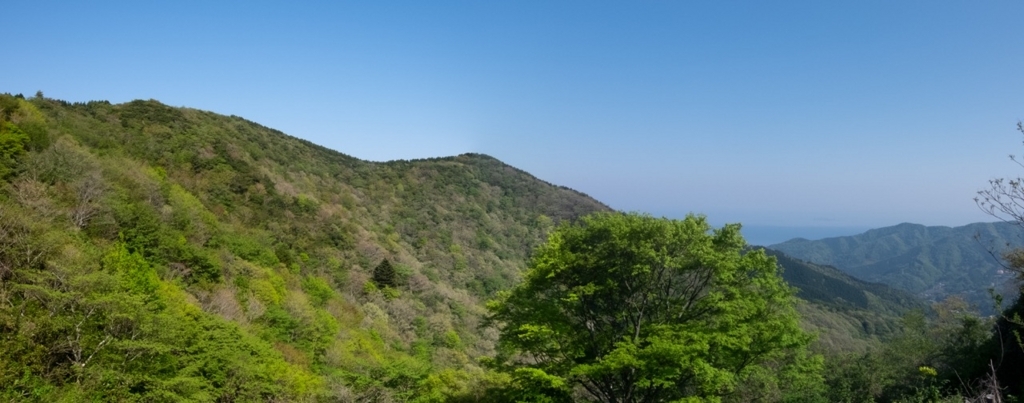 f:id:saetta0404:20180424222742j:plain