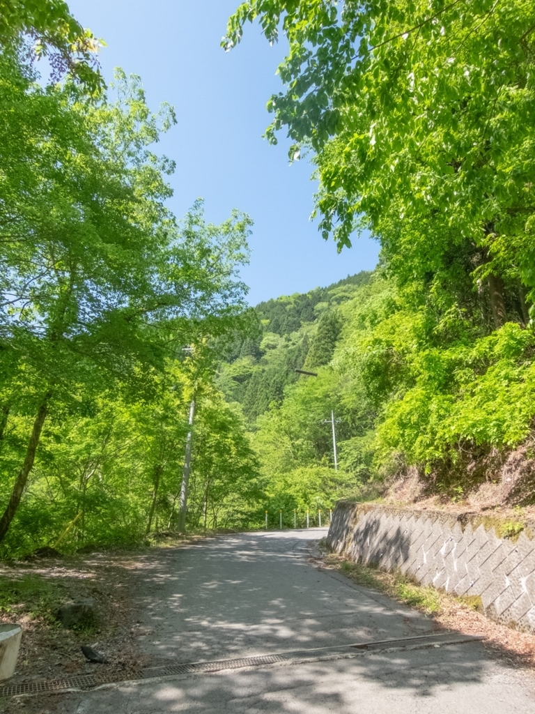 f:id:saetta0404:20180506145328j:plain f:id:saetta0404:20180506145328j:plain