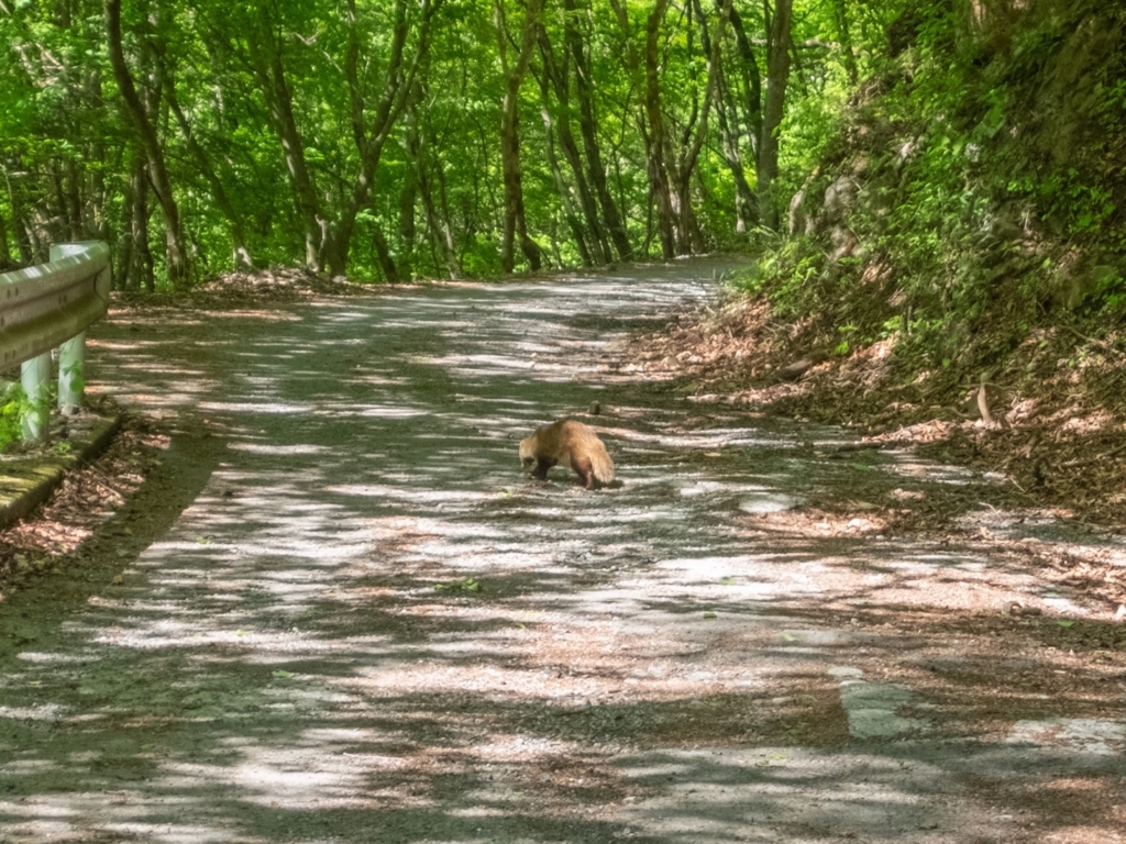 f:id:saetta0404:20180506145410j:plain f:id:saetta0404:20180506145410j:plain