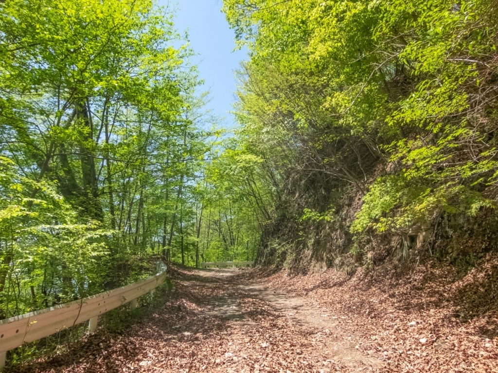 f:id:saetta0404:20180506145955j:plain f:id:saetta0404:20180506145955j:plain