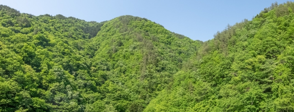 f:id:saetta0404:20180508230008j:plain