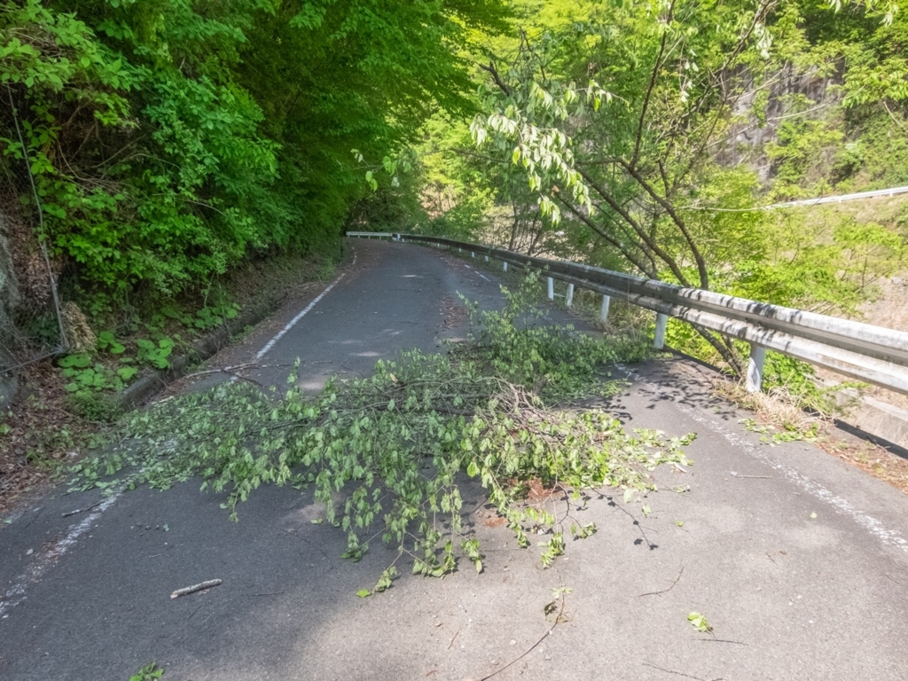 f:id:saetta0404:20180508230453j:plain