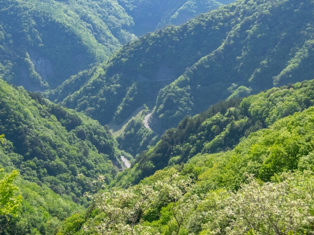 f:id:saetta0404:20180508230929j:plain