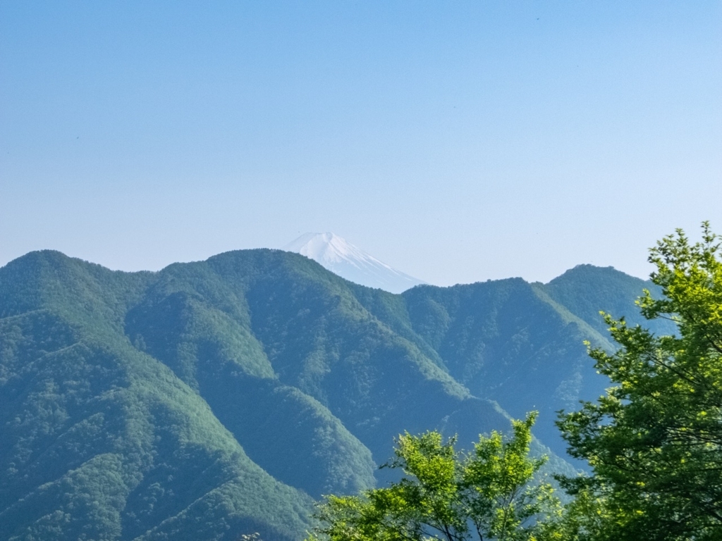 f:id:saetta0404:20180508231116j:plain