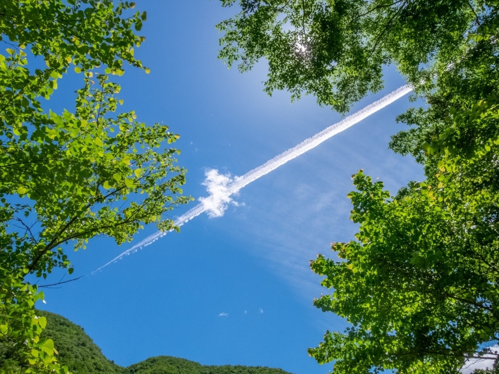 f:id:saetta0404:20180522001832j:plain f:id:saetta0404:20180522001832j:plain
