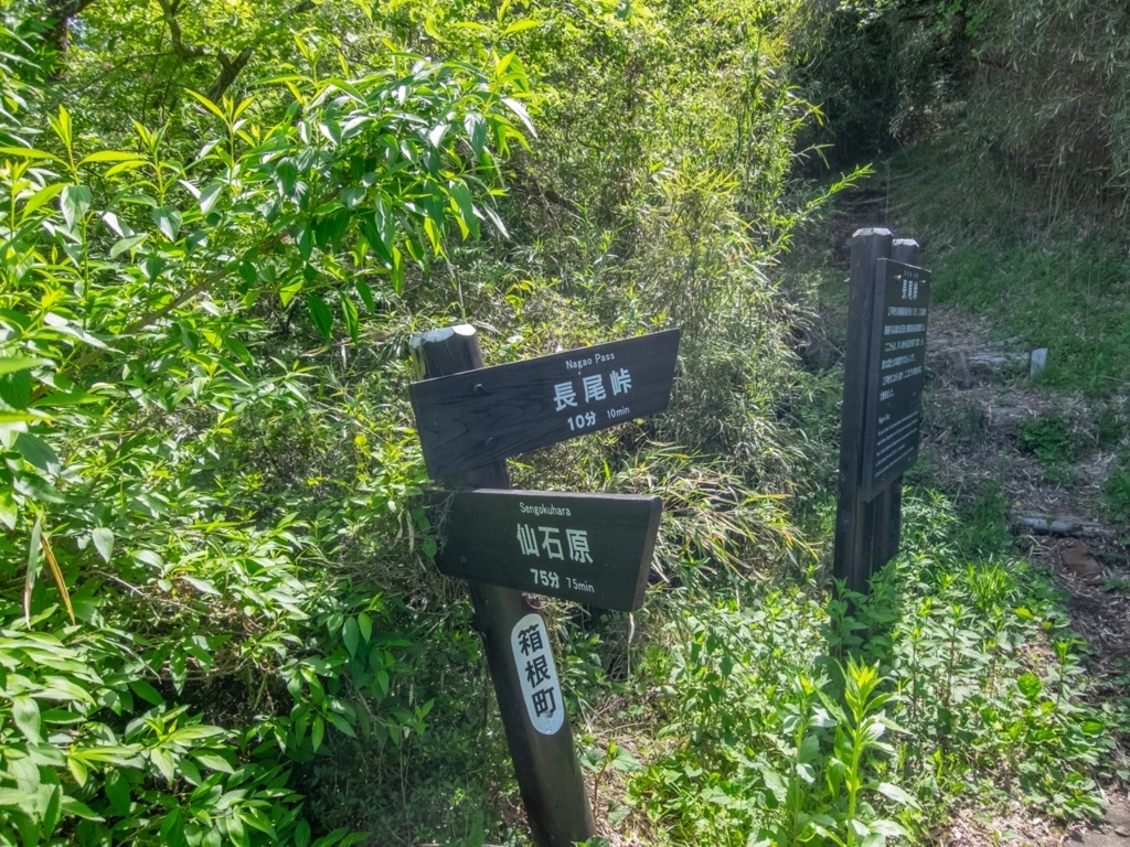 f:id:saetta0404:20180522002220j:plain f:id:saetta0404:20180522002220j:plain