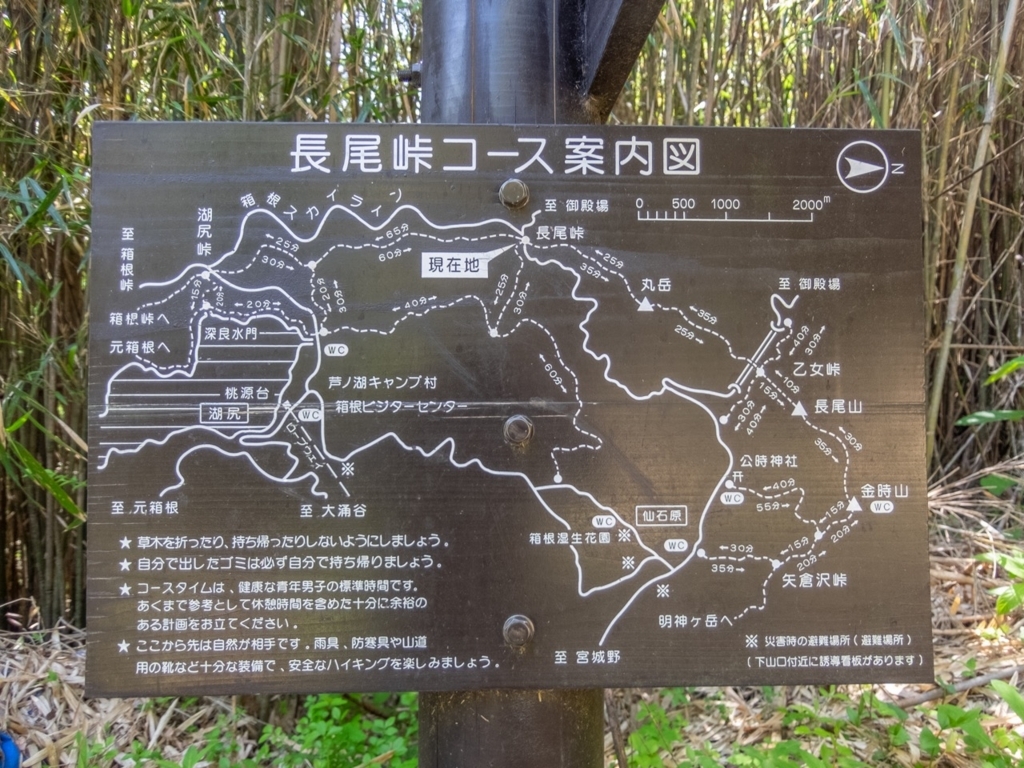 f:id:saetta0404:20180522002333j:plain f:id:saetta0404:20180522002333j:plain