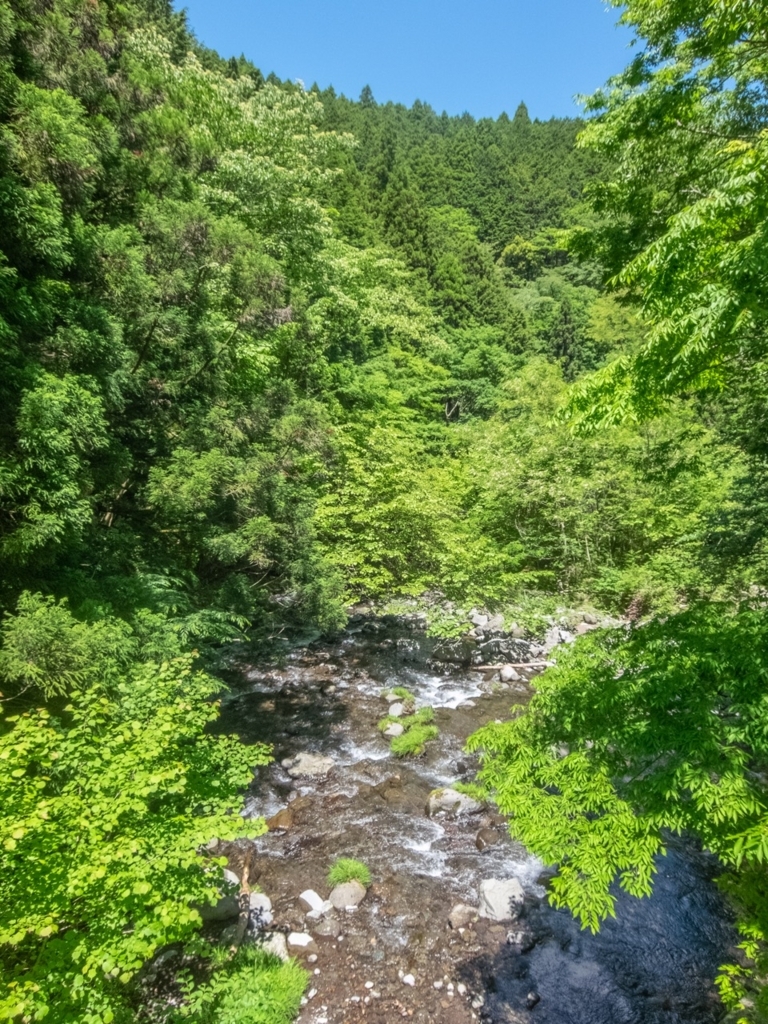 f:id:saetta0404:20180523232309j:plain f:id:saetta0404:20180523232309j:plain
