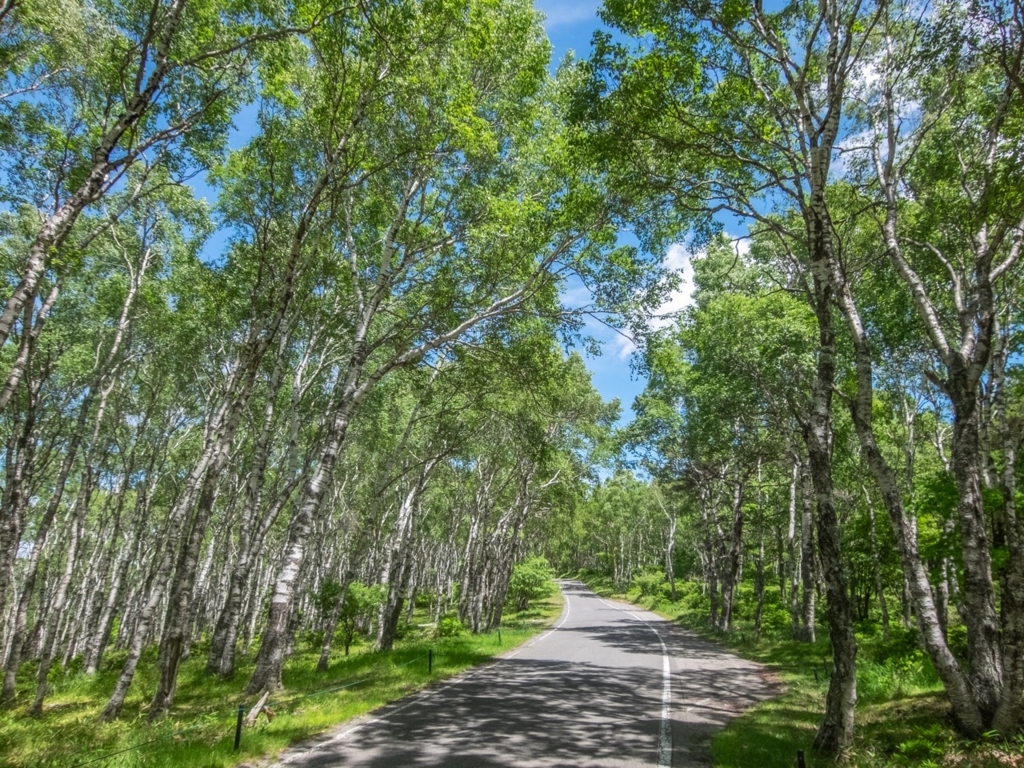 f:id:saetta0404:20180703225033j:plain