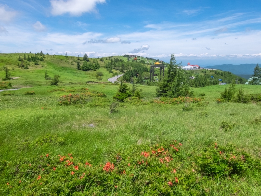 f:id:saetta0404:20180703225207j:plain