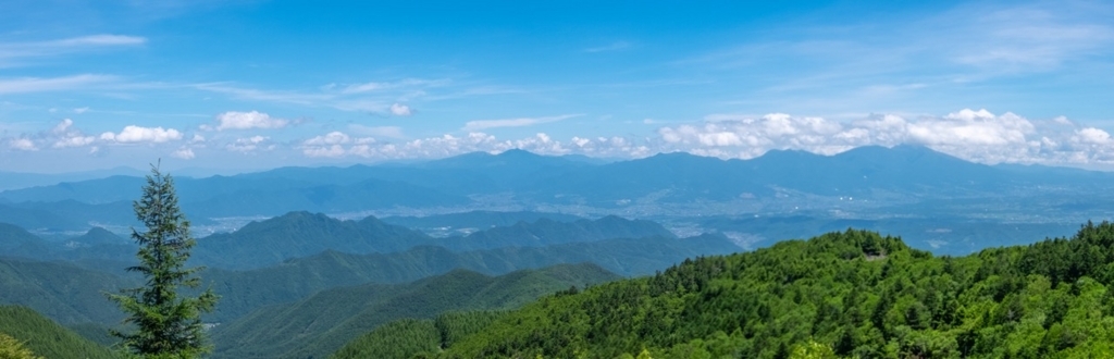 f:id:saetta0404:20180705220405j:plain