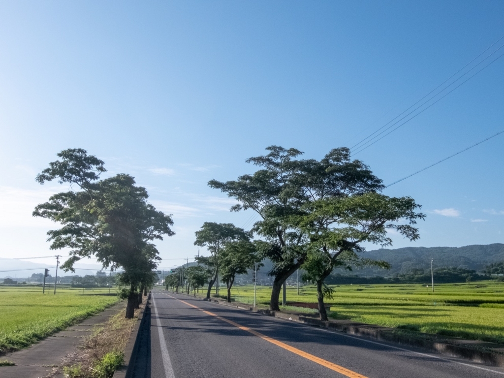 f:id:saetta0404:20180820155945j:plain