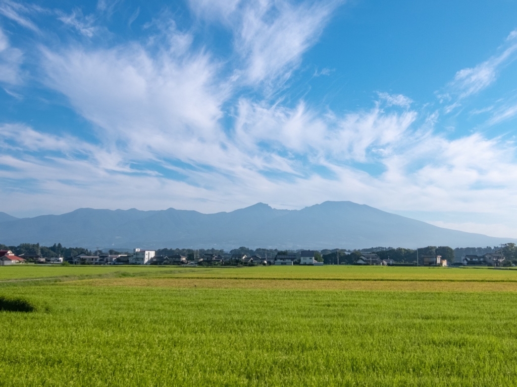 f:id:saetta0404:20180820160001j:plain