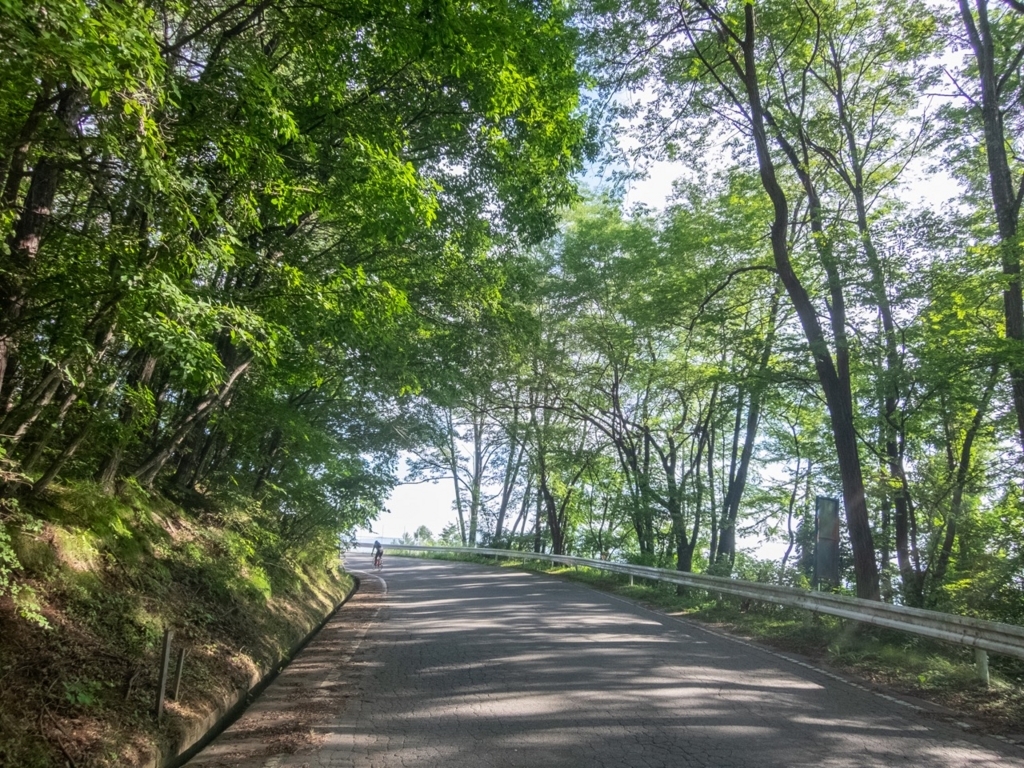 f:id:saetta0404:20180820160048j:plain