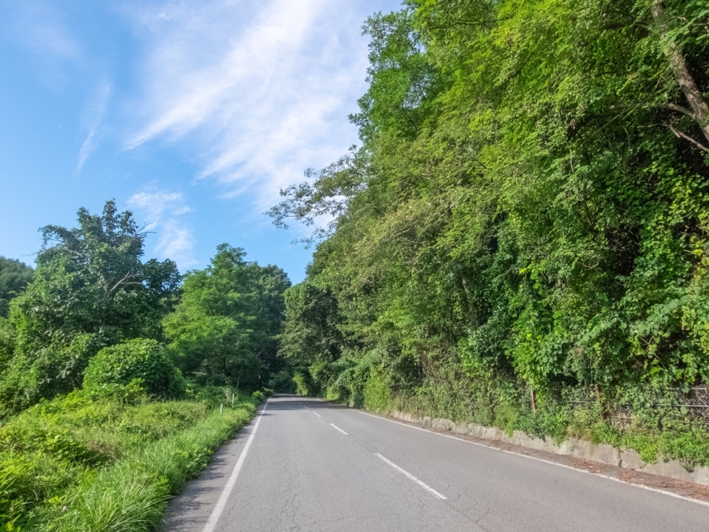 f:id:saetta0404:20180820160112j:plain