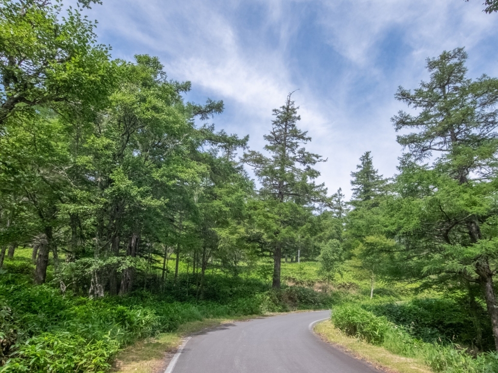 f:id:saetta0404:20180820160738j:plain