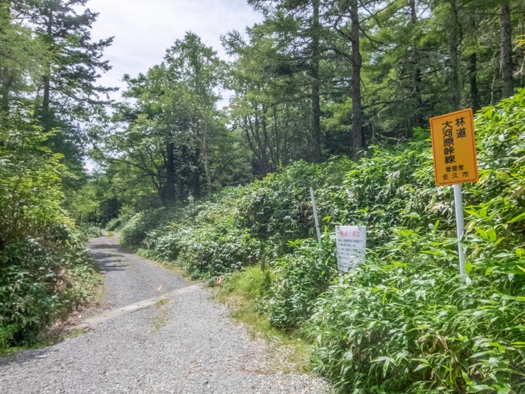 f:id:saetta0404:20180820160802j:plain