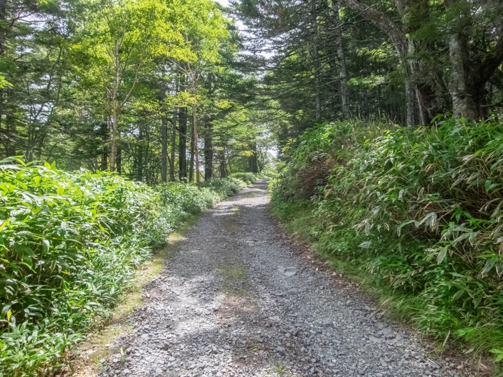 f:id:saetta0404:20180820160828j:plain