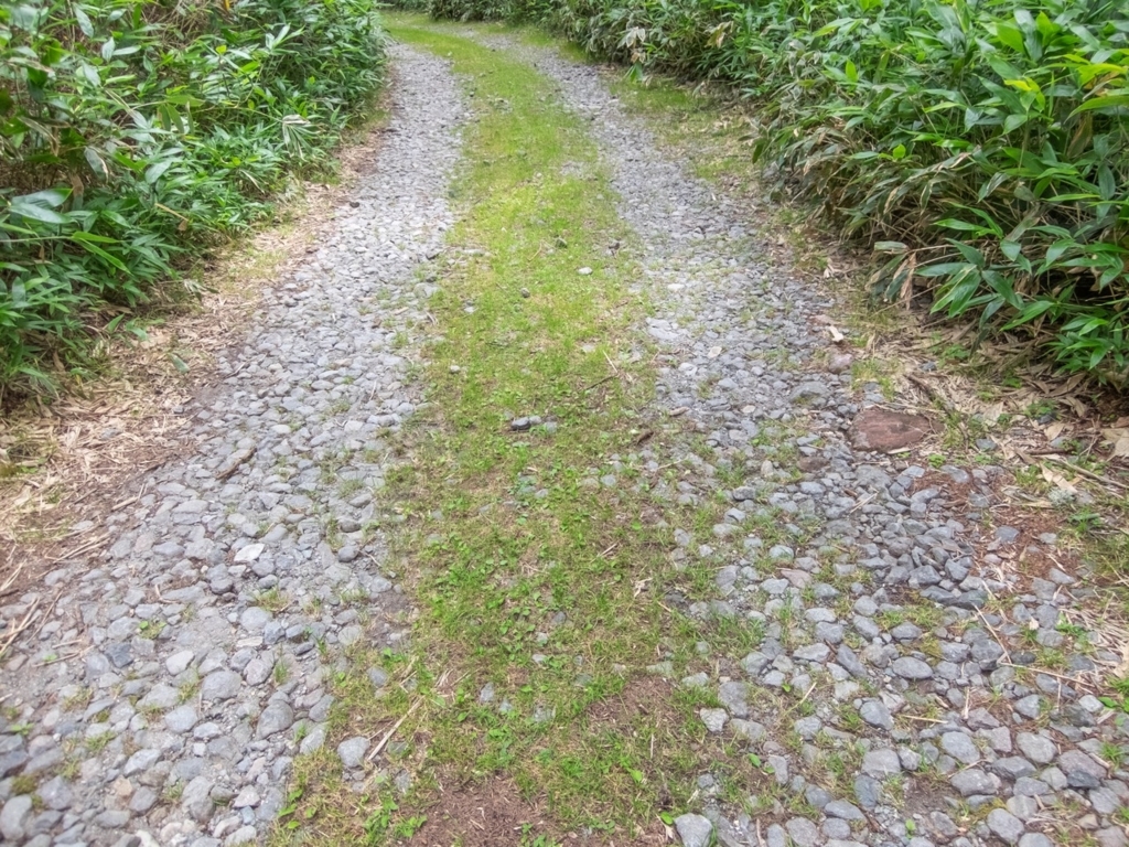 f:id:saetta0404:20180820160848j:plain