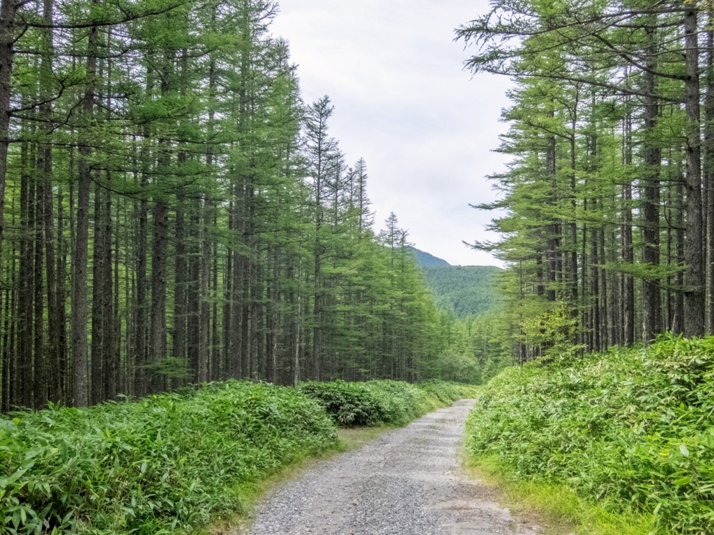 f:id:saetta0404:20180820160905j:plain