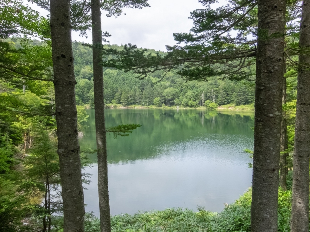 f:id:saetta0404:20180820161108j:plain