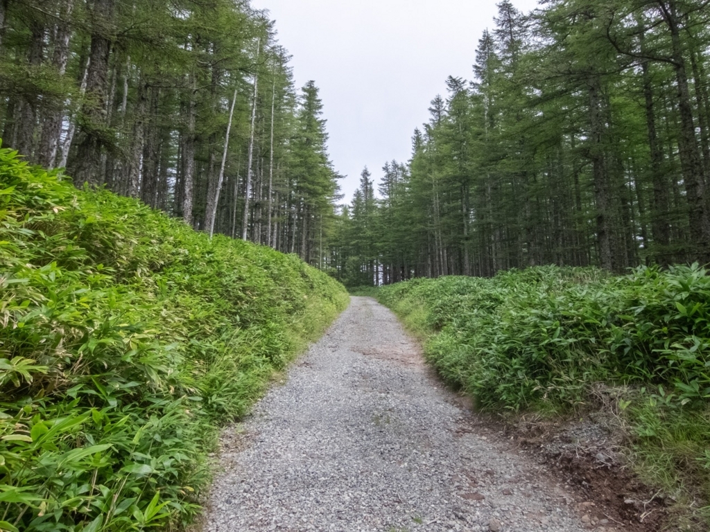 f:id:saetta0404:20180820161153j:plain