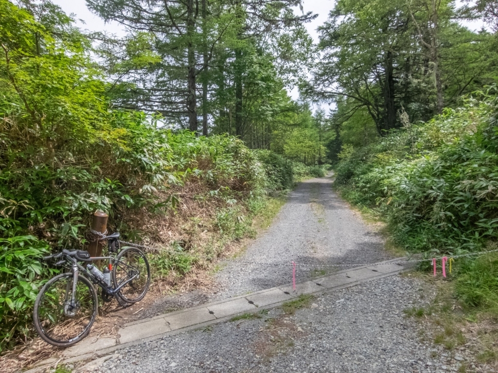 f:id:saetta0404:20180820161211j:plain