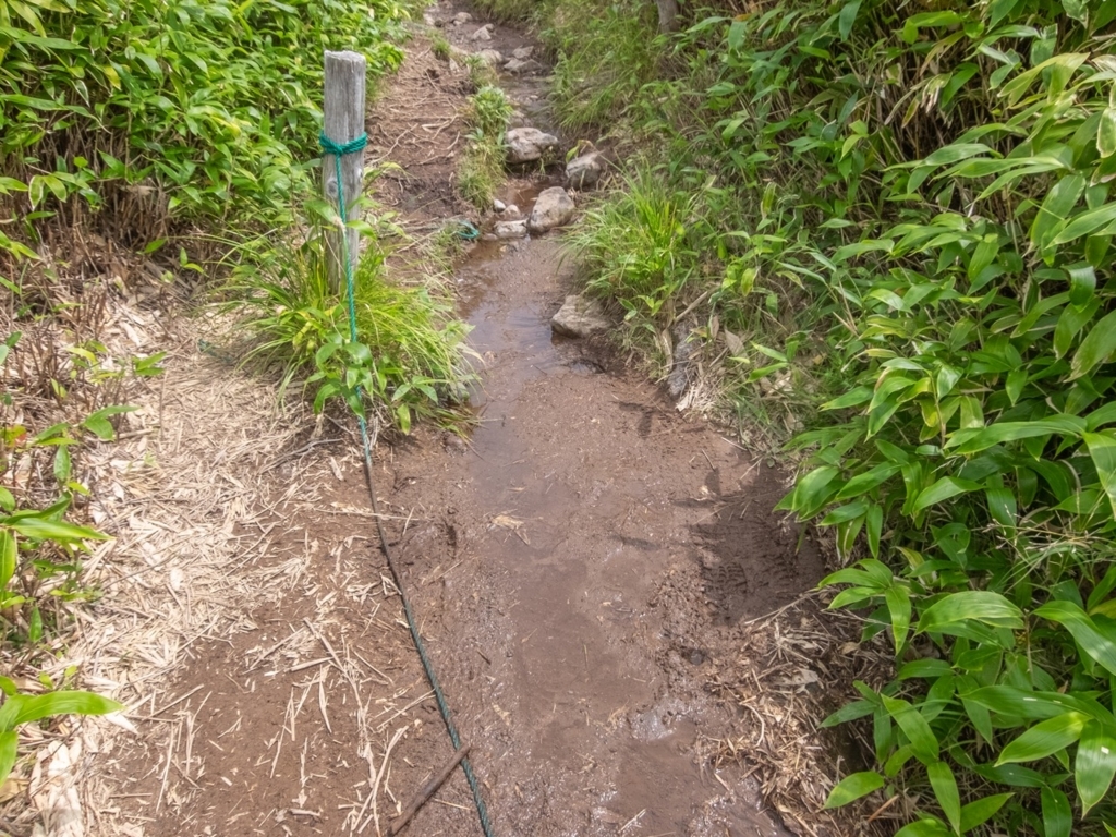 f:id:saetta0404:20180820161503j:plain