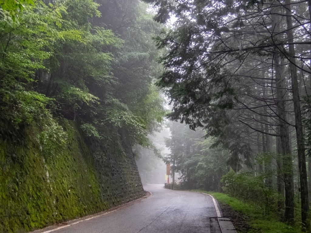 f:id:saetta0404:20180917205249j:plain