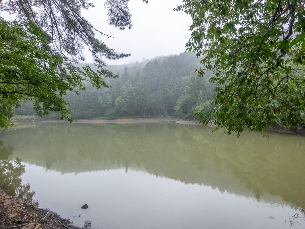 f:id:saetta0404:20180917205416j:plain