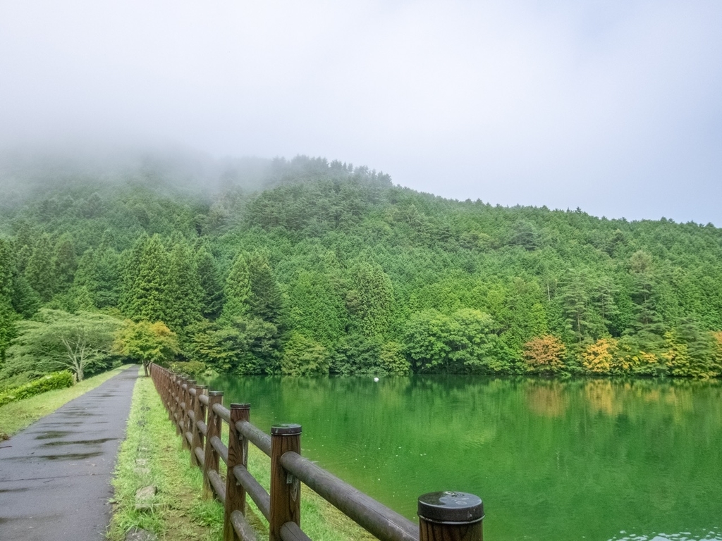 f:id:saetta0404:20180917205432j:plain