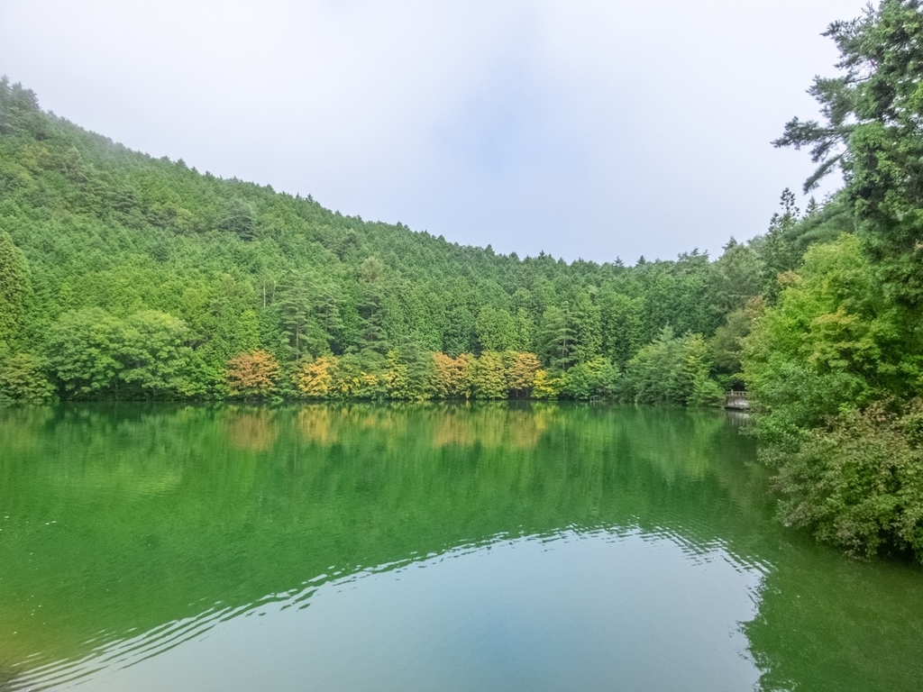 f:id:saetta0404:20180917205446j:plain