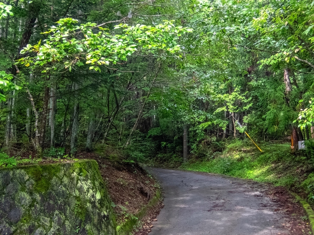 f:id:saetta0404:20180917205523j:plain