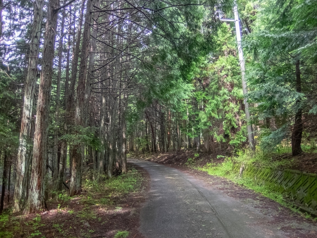 f:id:saetta0404:20180917205605j:plain