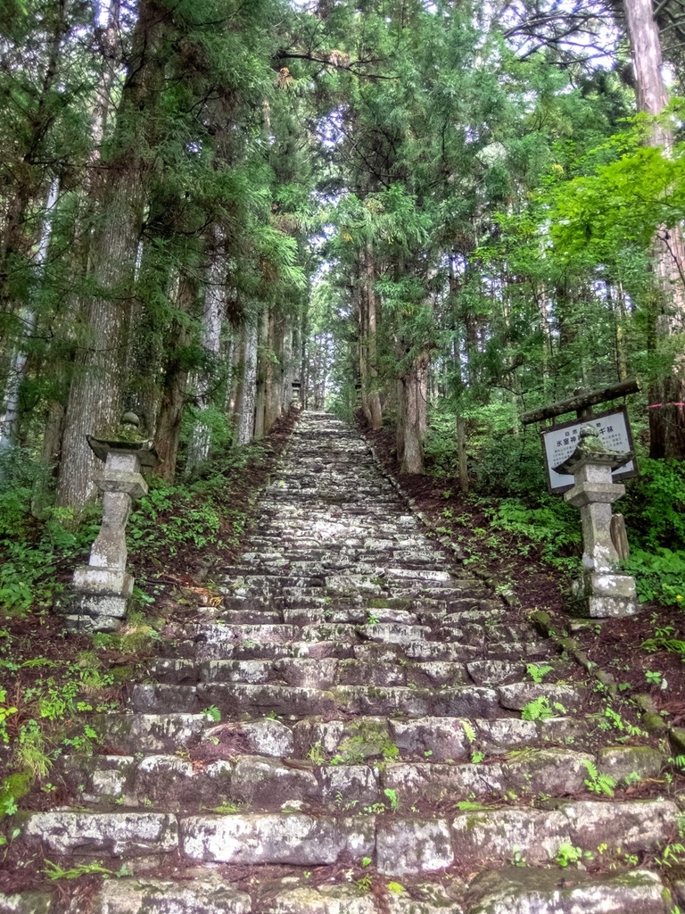 f:id:saetta0404:20180917205646j:plain