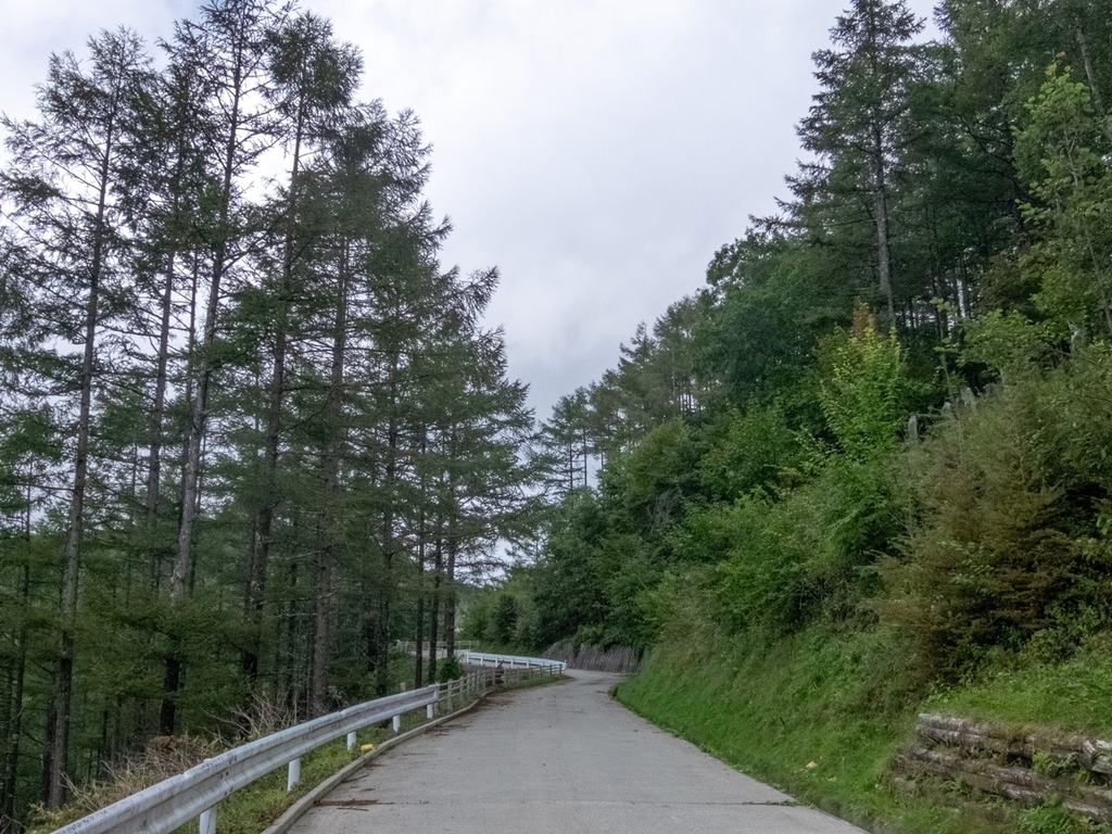 f:id:saetta0404:20180917210331j:plain