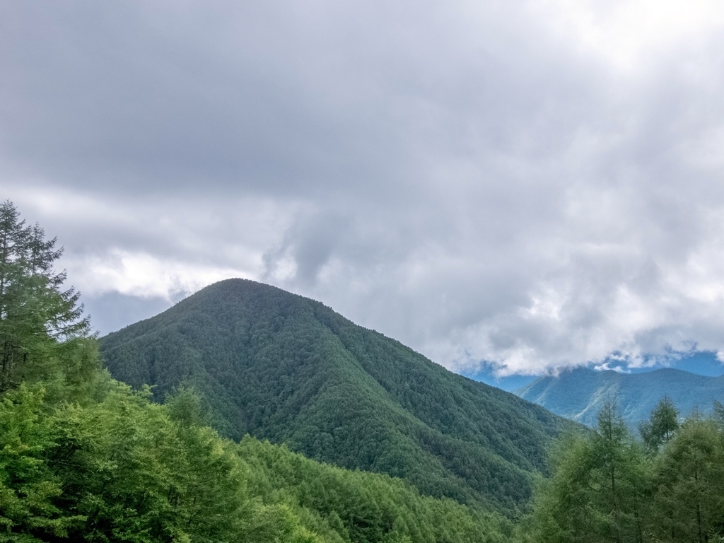 f:id:saetta0404:20180917210351j:plain