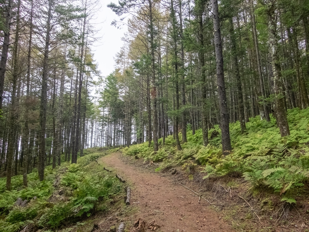 f:id:saetta0404:20180917210646j:plain