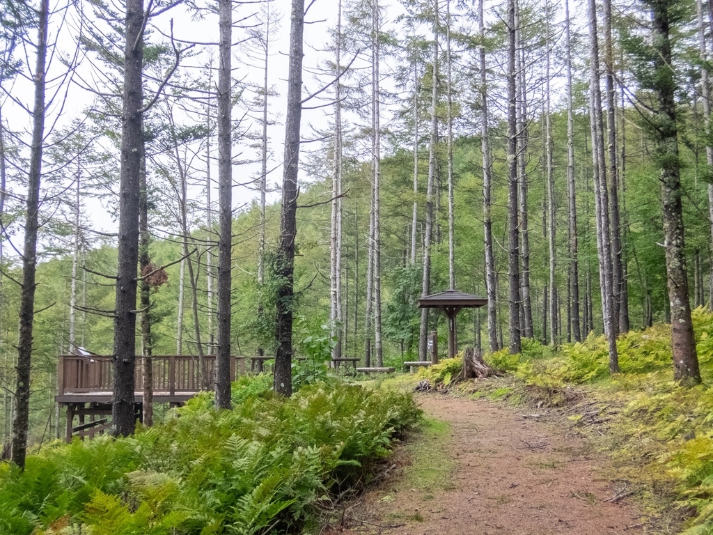 f:id:saetta0404:20180917210708j:plain