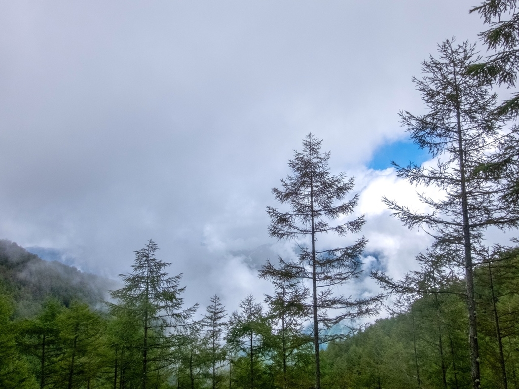 f:id:saetta0404:20180917210908j:plain