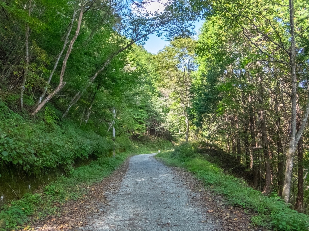 f:id:saetta0404:20181008182221j:plain f:id:saetta0404:20181008182221j:plain