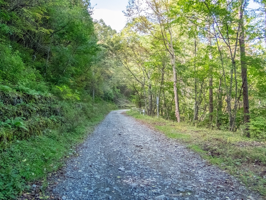 f:id:saetta0404:20181008182356j:plain f:id:saetta0404:20181008182356j:plain