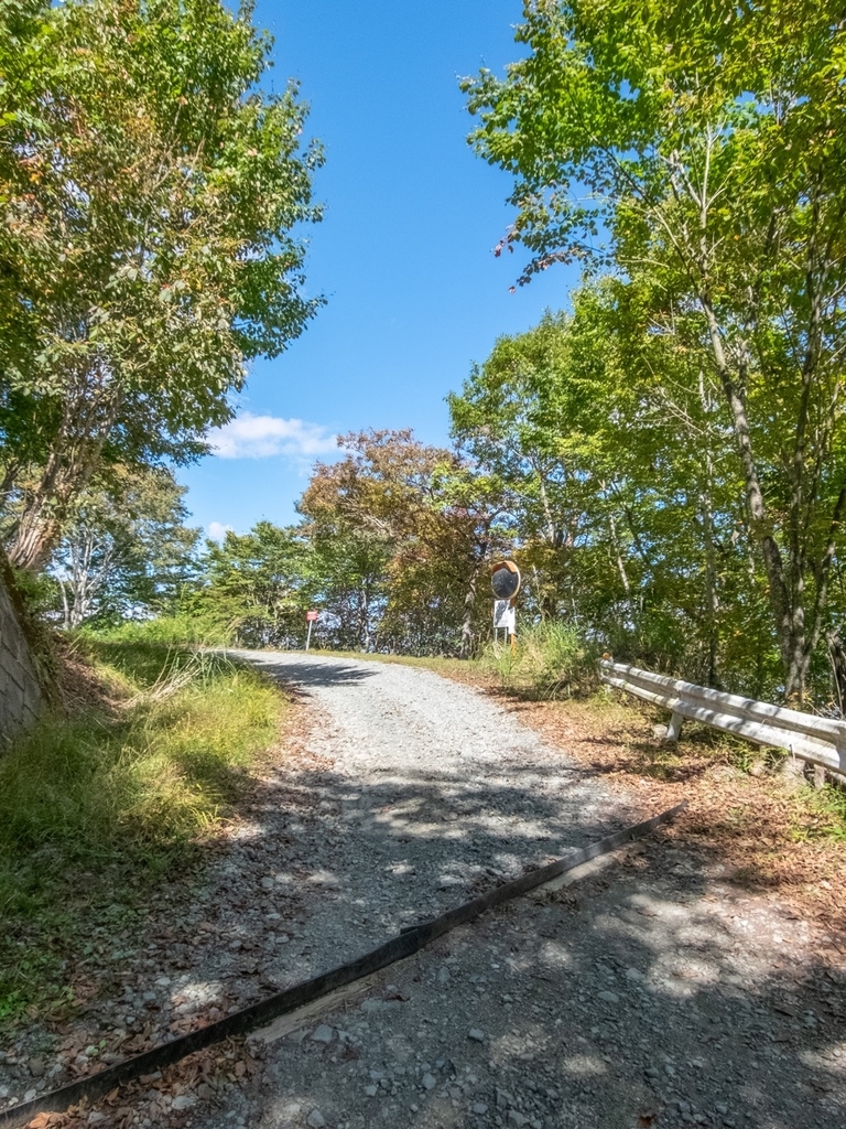 f:id:saetta0404:20181008182417j:plain f:id:saetta0404:20181008182417j:plain