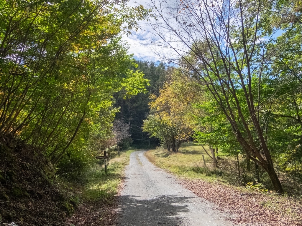 f:id:saetta0404:20181008182618j:plain f:id:saetta0404:20181008182618j:plain