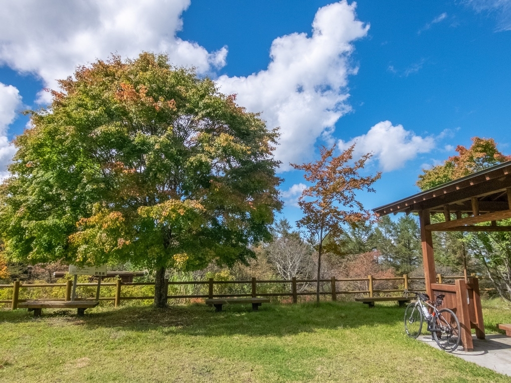 f:id:saetta0404:20181008182711j:plain f:id:saetta0404:20181008182711j:plain